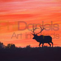 deer sunset