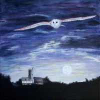 moon owl 16x16 150